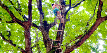 Esprit Libre - grimpe d'arbre