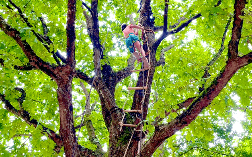 Esprit Libre - grimpe d'arbre