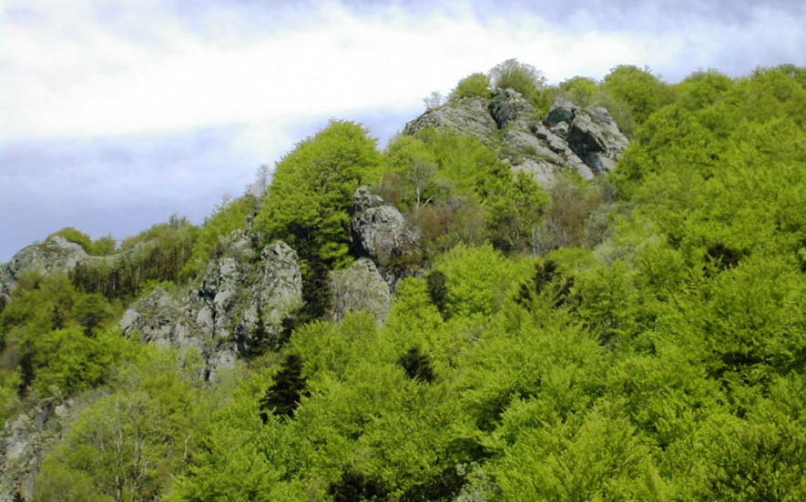 Réserve naturelle de la Forêt des Volcans et des Vogelsteine