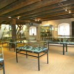 Musée du vignoble et des vins d'Alsace