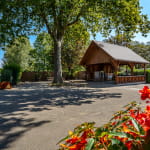 Camping de Riquewihr