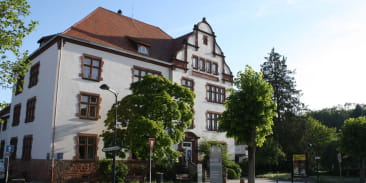 Maison de l'archéologie des Vosges du Nord