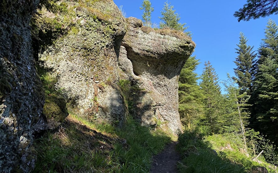 La roche tocquaine