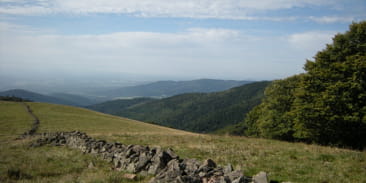 Massif du Rossberg