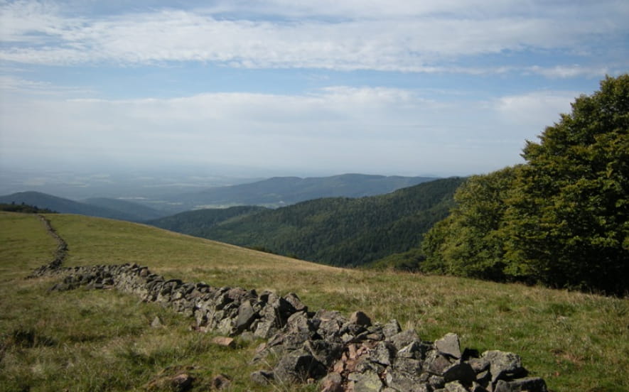 Massif du Rossberg