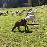 Ferme de Xéfosse