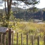 Tourbière de l'étang de Hanau