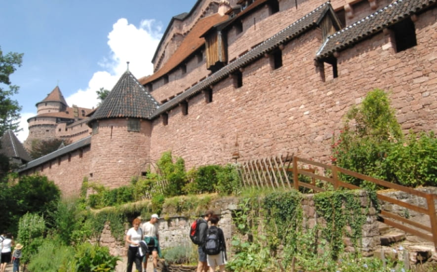 Jardin médiéval du Château du Haut-Koenigsbourg