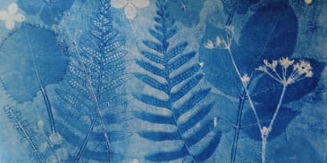 Initiation au monotype végétal