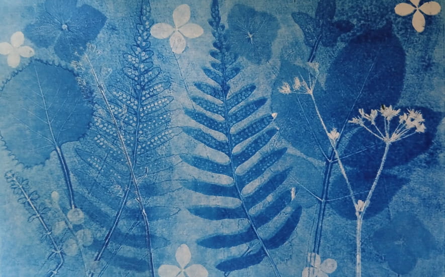 Initiation au monotype végétal