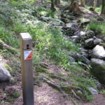 Les parcours ludiques d'orientation à La Bresse
