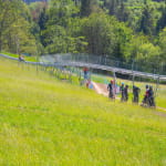 Luge sur rail - Tricky Track