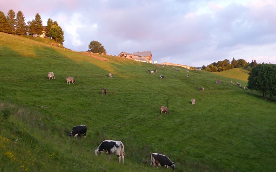 Ferme-auberge du Treh