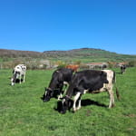 Ferme pédagogique de l'Altiplano