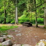 Balade accessible - Les perles de la Vologne