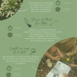 Les crins de nature