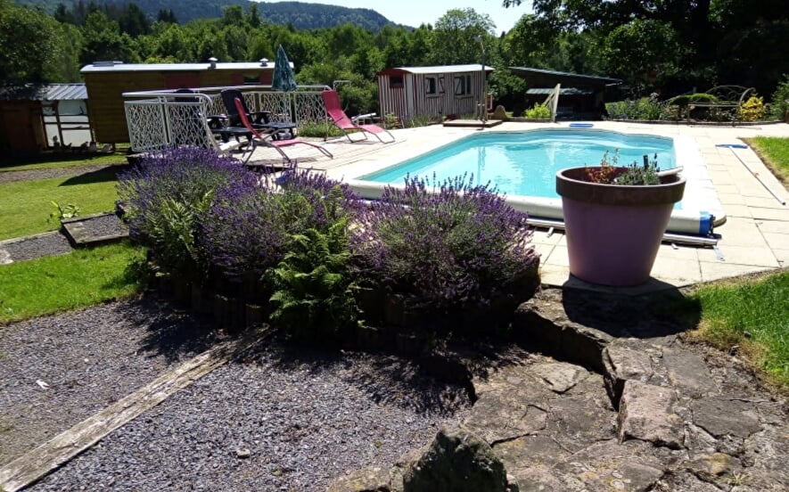 Gîte la Cremaillotte : Myrtille