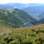 Refuge du Schiessrothried Vosges Trotters Colmar