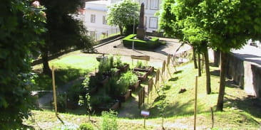 Jardin médiéval le Courtil de St Fiacre
