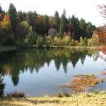 Le Rouge Gazon et la Chaume des Neufs Bois