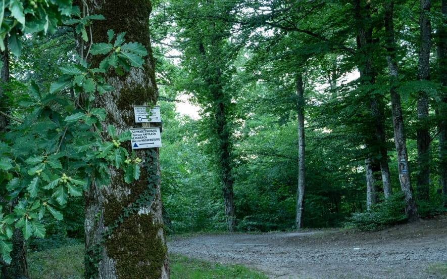 Circuit du Schlosswald