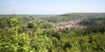 Forêt domaniale de Saint-Quirin