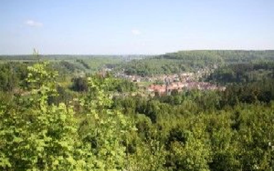 Forêt domaniale de Saint-Quirin