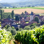 Cave vinicole de Cleebourg