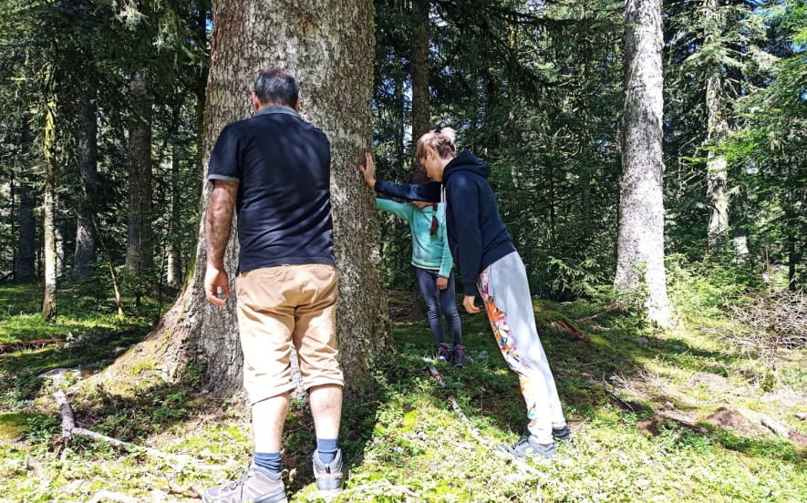 Bureau Montagne Gérardmer Vallée des Lacs - Sorties Bien-Etre