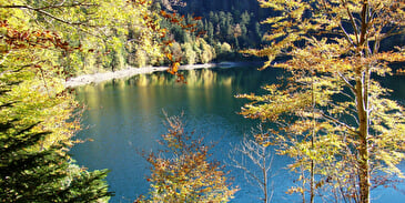 Lac du Ballon