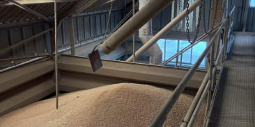 Visite au coeur du Moulin Burgraff-Becker