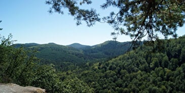 Géocaching sur le sentier nature du Loosthal