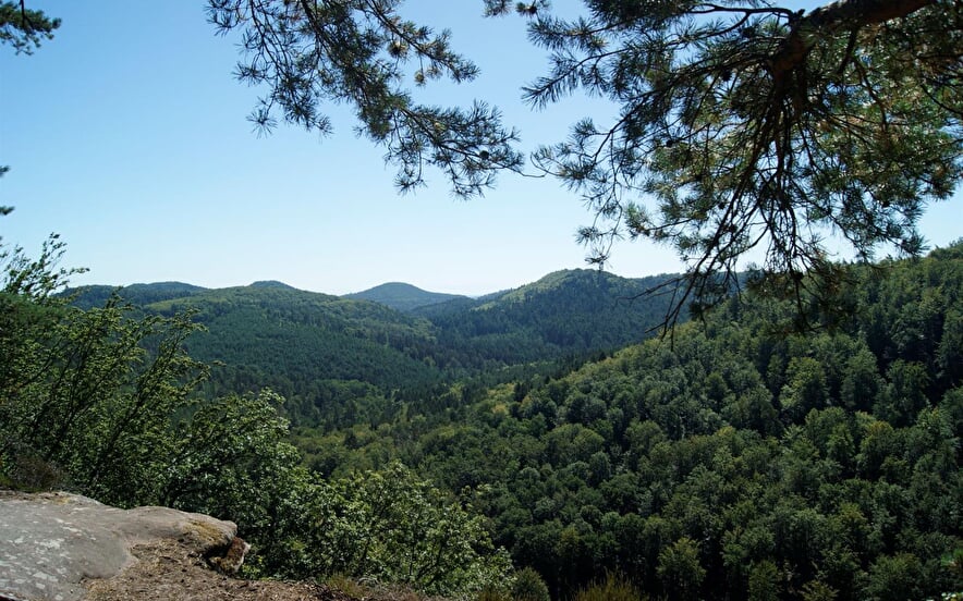 Géocaching sur le sentier nature du Loosthal
