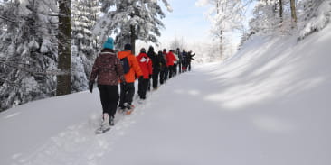 Circuit Les Petits Lynx