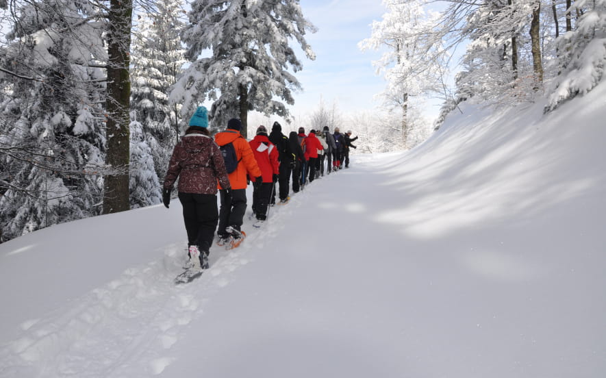 Circuit Les Petits Lynx
