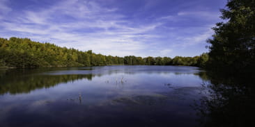 Circuit de l'Etang de la Marnière