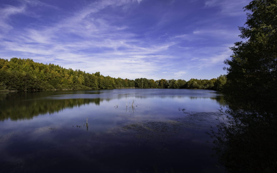 Circuit de l'Etang de la Marnière