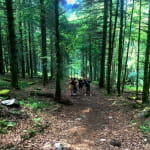 Les crins de nature
