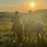 Open ranch - Balades équestres
