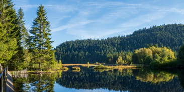 Le lac de lispach