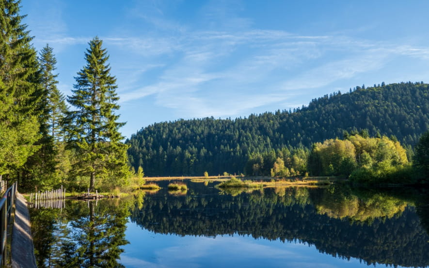Le lac de lispach
