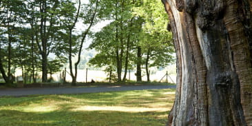 Circuit poussettes C08 : Promenade au parc d'Albay