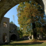 Château du Morimont