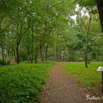 Urmatt - Station verte