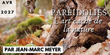 Expo photo - Paréidolies, l'art caché de la nature
