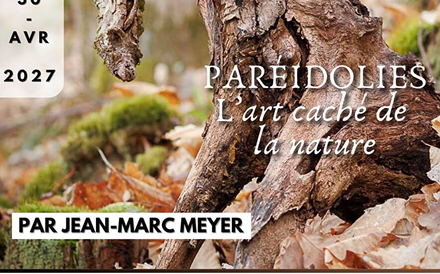 Expo photo - Paréidolies, l'art caché de la nature