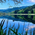 Pêche au lac de Sewen