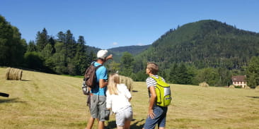 Circuit poussettes C03 : Sur la route de Plaine aux Quelles