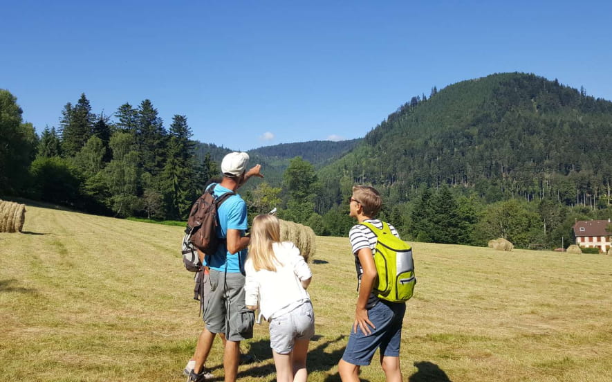 Circuit poussettes C03 : Sur la route de Plaine aux Quelles