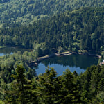 Lacs du Neuweiher